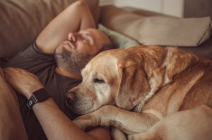 Mann schläft mit Hund auf Couch